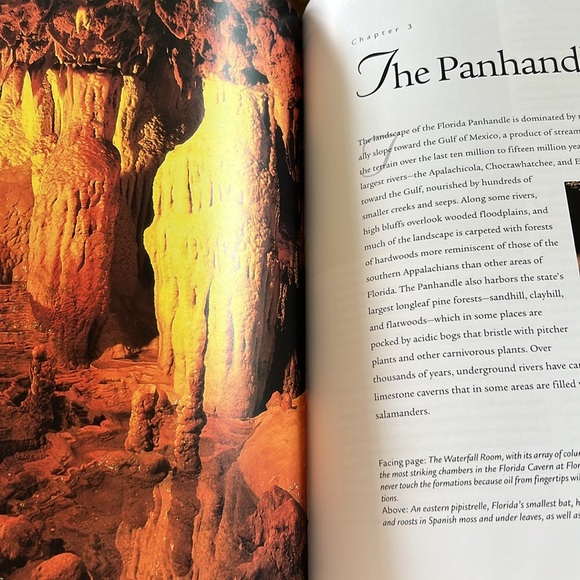 Coffee Table Book Florida The Natural Wonders Hardcover 1997 EUC Large Jacket - Picture 8 of 16